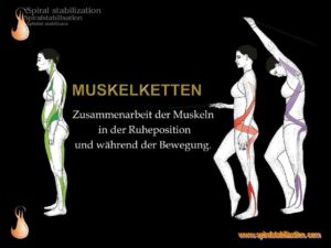 Spiralstabilisation Nach Dr Med Smisek Funktionelle Stabilisierung Und Mobilisierung Der